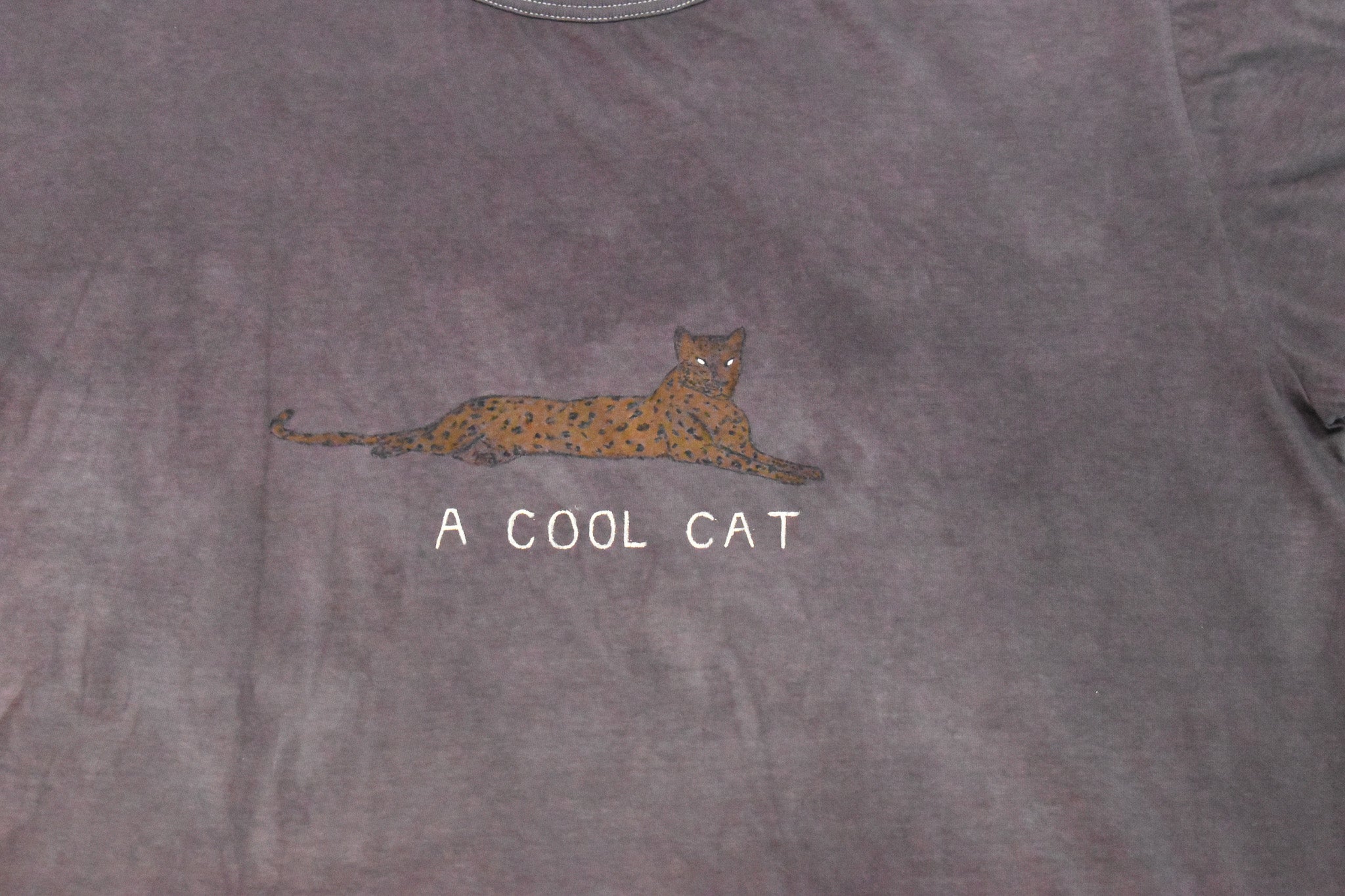 'a cool cat' T-Shirt