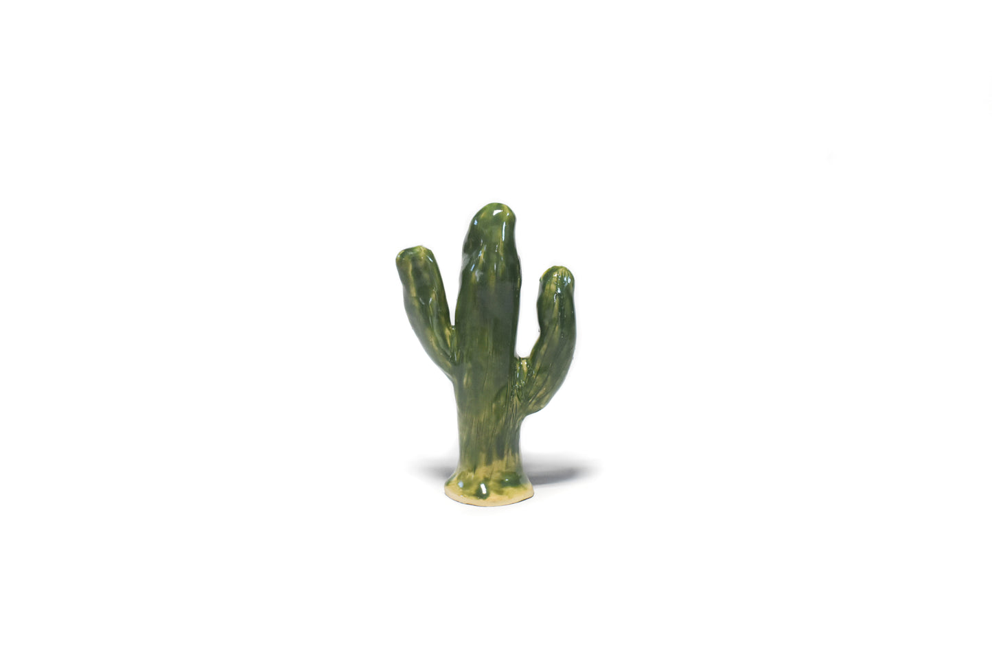 LL Cactus